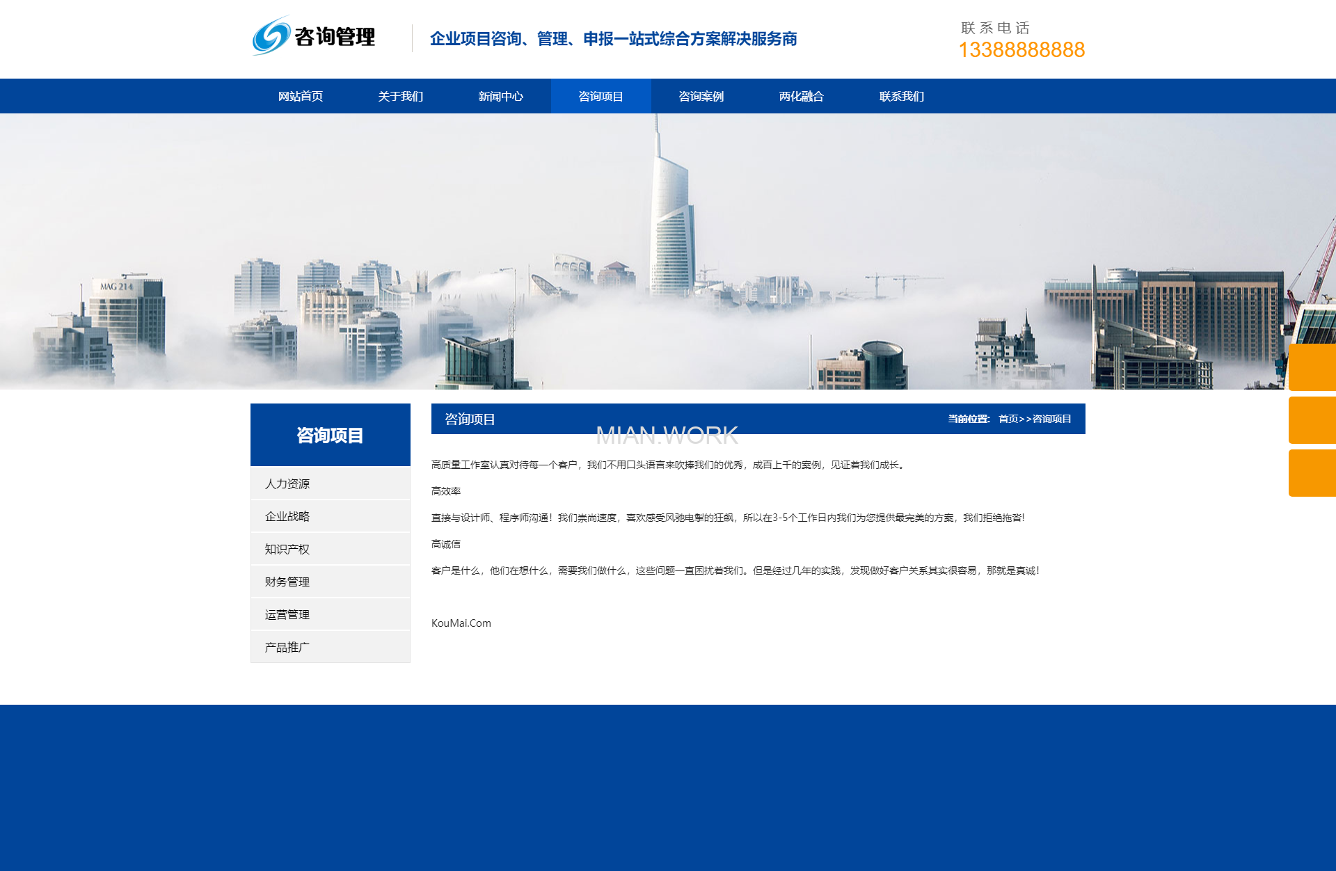 咨询管理类 企业管理 咨询机构网站