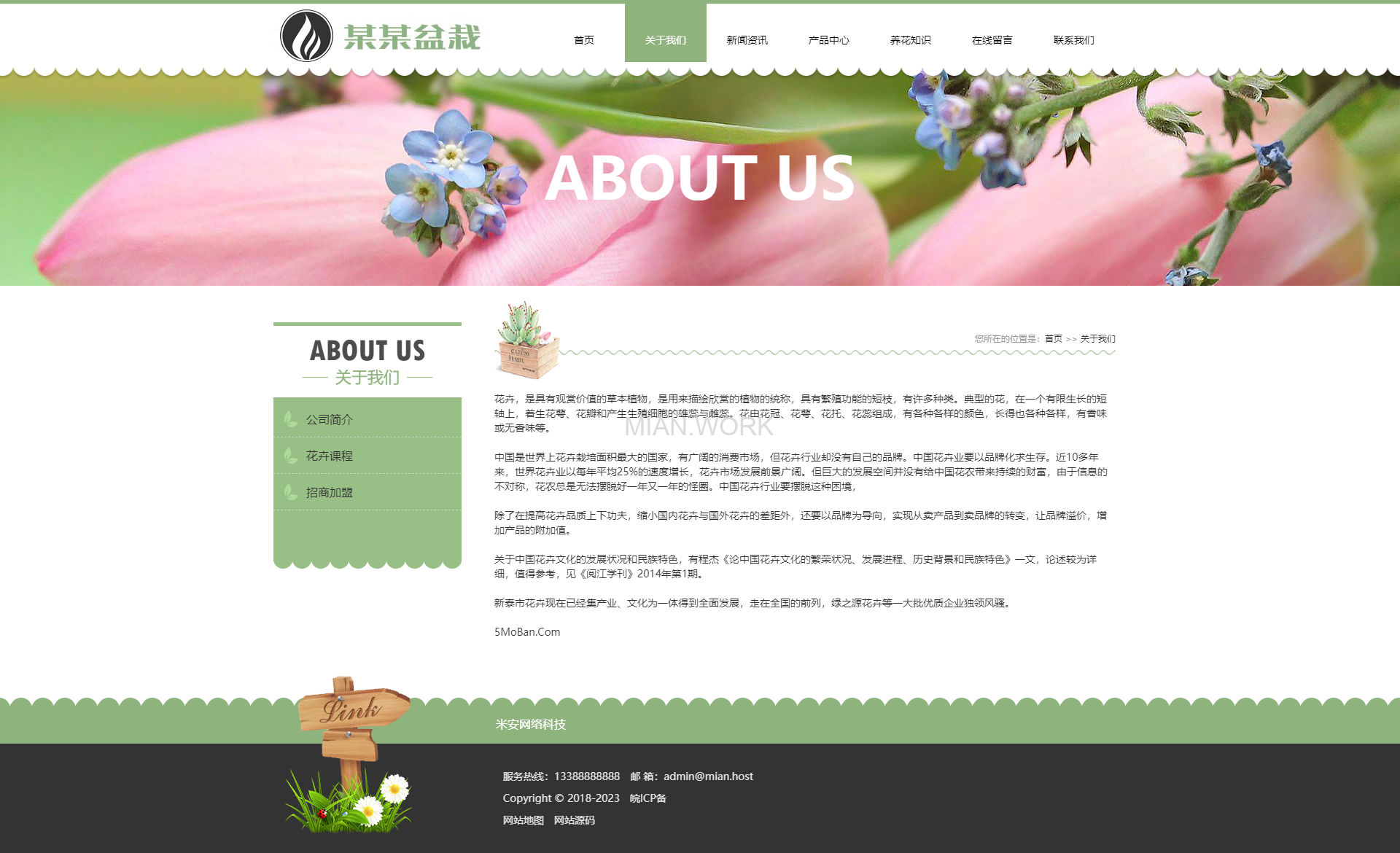 绿植花卉 办公室盆栽租赁网站